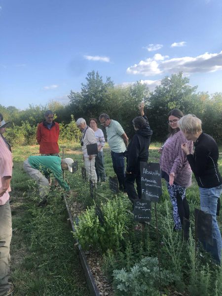 Illustration de l’expérience La visite « Découvrez les plantes médicinales »